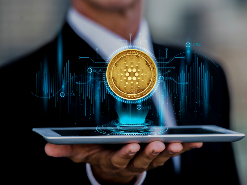 Premium Crypto Services